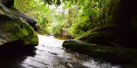 Valentine's Waterfall