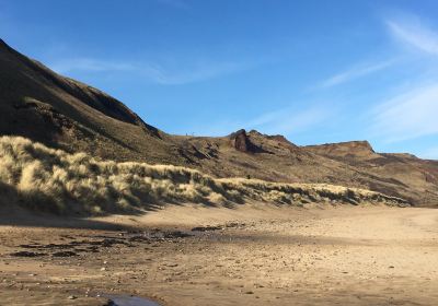 Cattersty Sands Beach