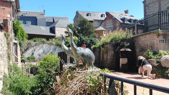 Honfleur