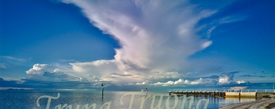 Bellarine