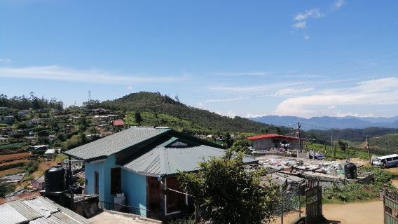 The Eagle’s View Point