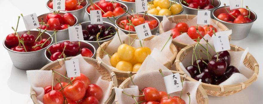 Ohashi Cherry Farm