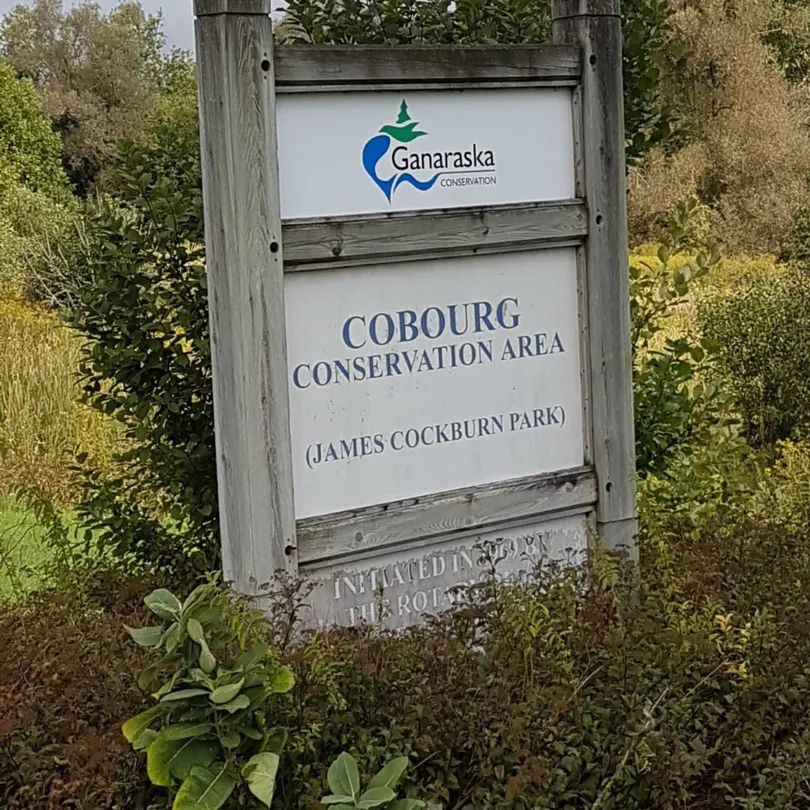 4_Cobourg Conservation Area