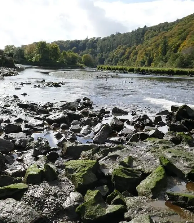 Bere Ferrers
