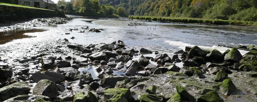 Bere Ferrers