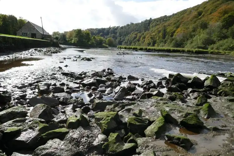 Bere Ferrers