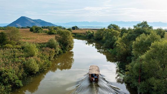 Kingfisher Boat & Kayak - Lake Skadar