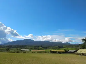 lapangan sepak bola sido rejo