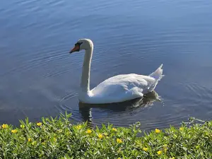 Parco Berrini