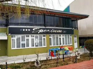 Sporium 23 Football Field