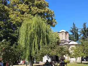 Saint Nikita