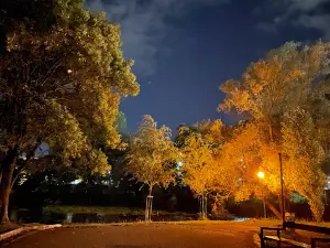 Park