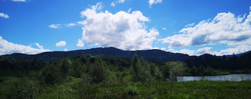 Beobachtungsturm