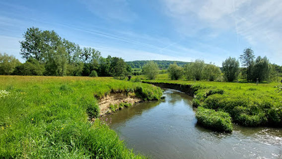 Forellenvijver de Geulhof Mechelen