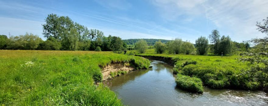 Forellenvijver de Geulhof Mechelen