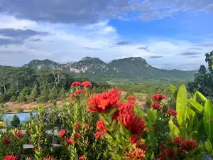 Yen Say Garden สวนเย็นเซ