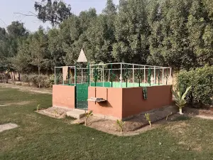 Mehmood Park