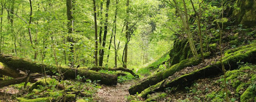 Oberes Lenninger Tal mit Seitentälern