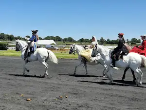 Hippodrome de la Bretonnière