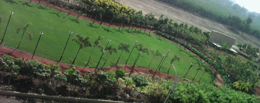 Daffodil Greens Play Area