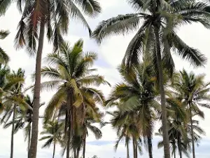 Playa Atracadero