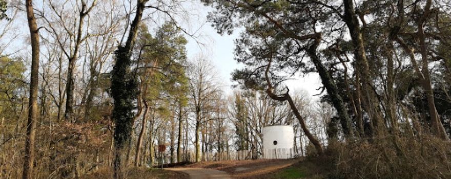 Kluisbos