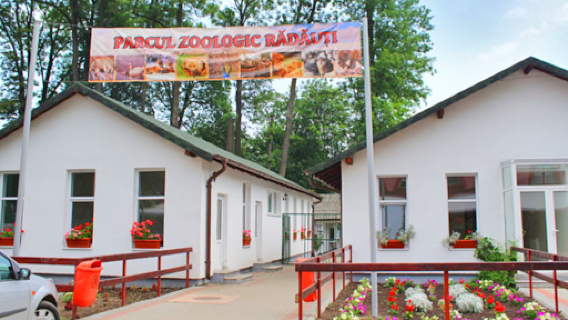 Zoo