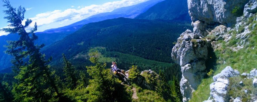 Piatra Șoimului
