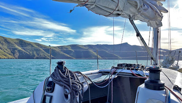 Southern Wanderer Scenic Cruises