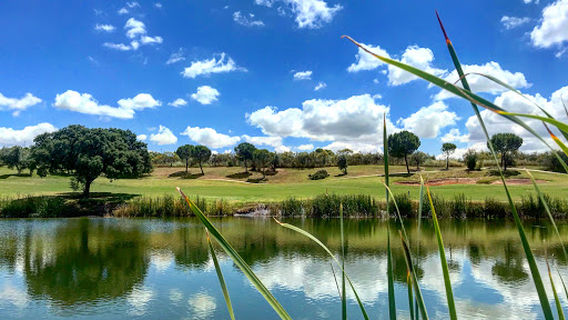 Club de Golf Hato Verde