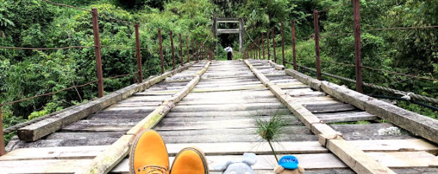 Đỉnh Chiêu Lầu Thi
