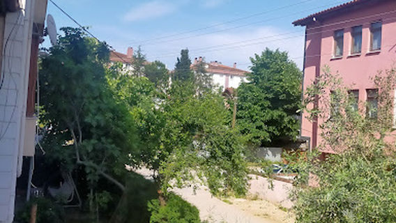 M. Ercan Cami