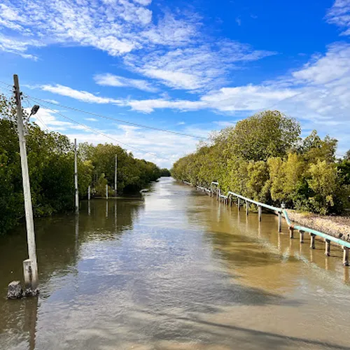 ศูนย์เรียนรู้ป่าชายเลนบางขุนเทียน