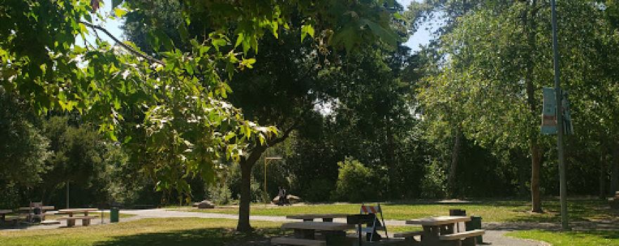Natividad Creek Park