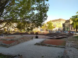 Žitni trg