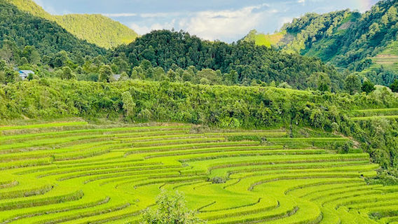 Farmstay Ngựa Bạch Lai Châu