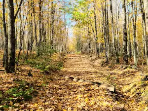 Penokee Mountain Trail Parking