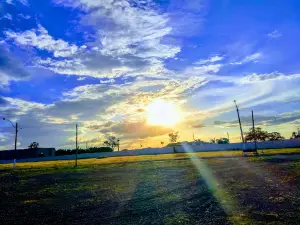 Agricultural Exhibition Park Jaragua Zico De Castro