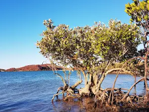 Murujuga National Park