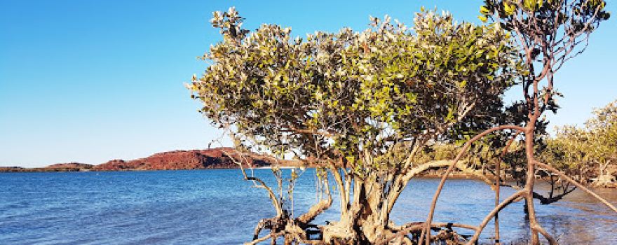 Murujuga-Nationalpark