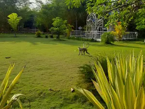 WCL Eco Park Saoner