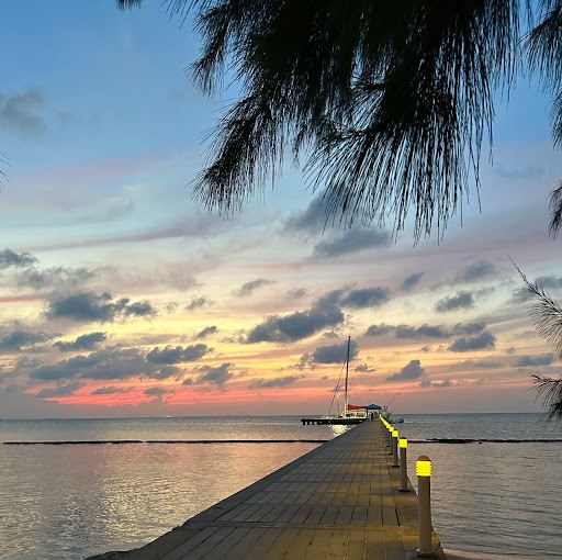 Red Sail Sports - Safehaven Marina (Stingray City, Scuba Diving, Beach Watersports)