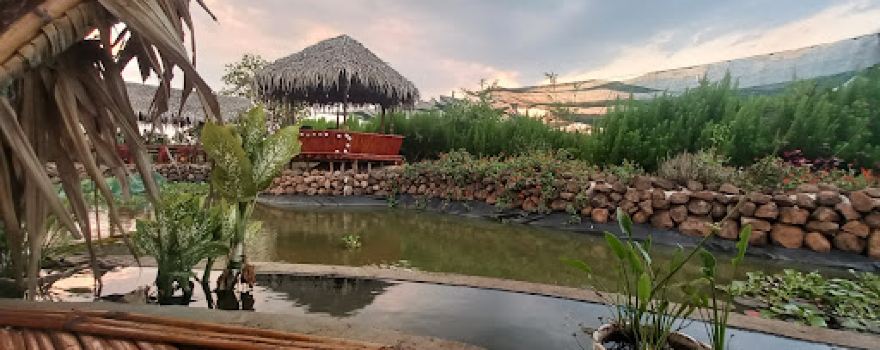 Lava Organic Farm