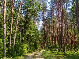 Sobiborski Park Krajobrazowy