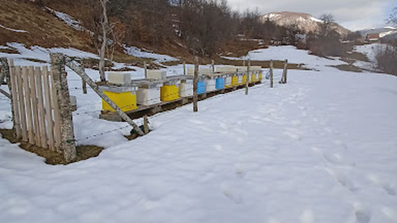 Pčelinjak Udruženja Pčelara,,Kolašin"