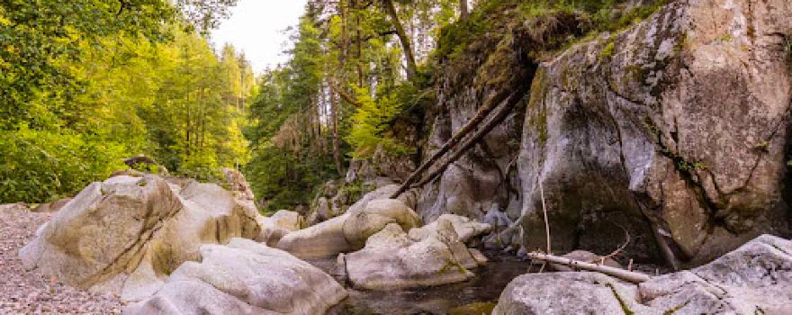 Teufelsküche im Albtal