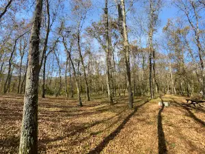 National Sovereignty Picnic Area