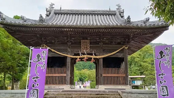 Tsuma-no-sato Hydrangea Garden