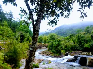 Mirante da Cachoeira - Angelina