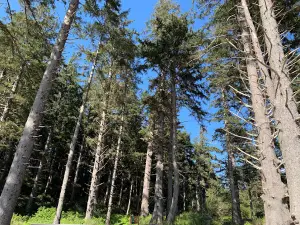 Short Sands Trail - South Trailhead